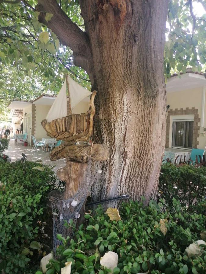 Βίλα Κατερίνα - Villa Katerina Kokkino Nero Exterior photo